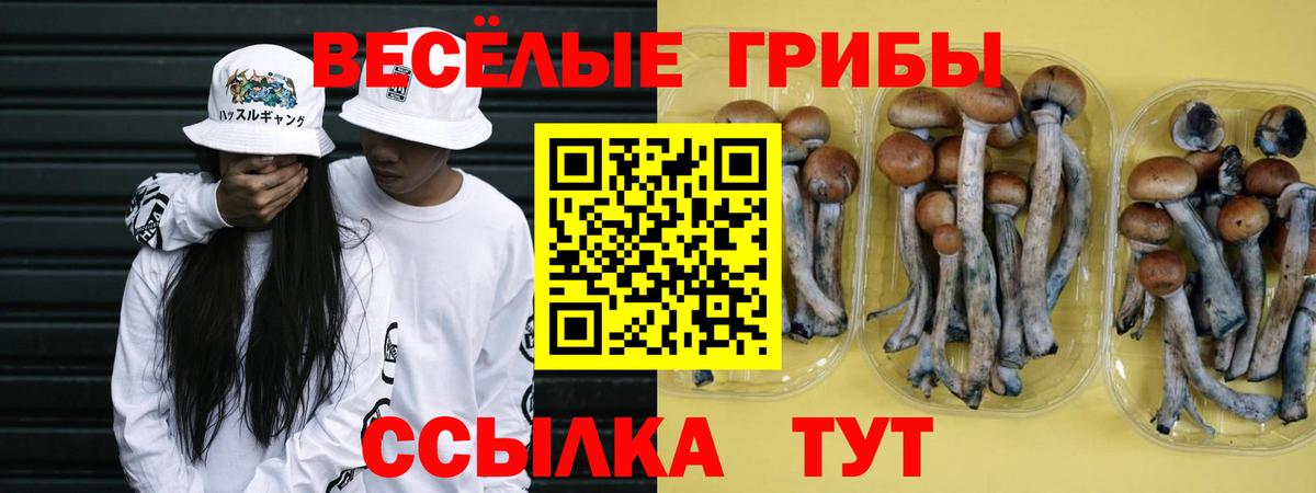 купить закладку  Галлюциногенные грибы Psilocybe  Вход с VPN  Старая Купавна 